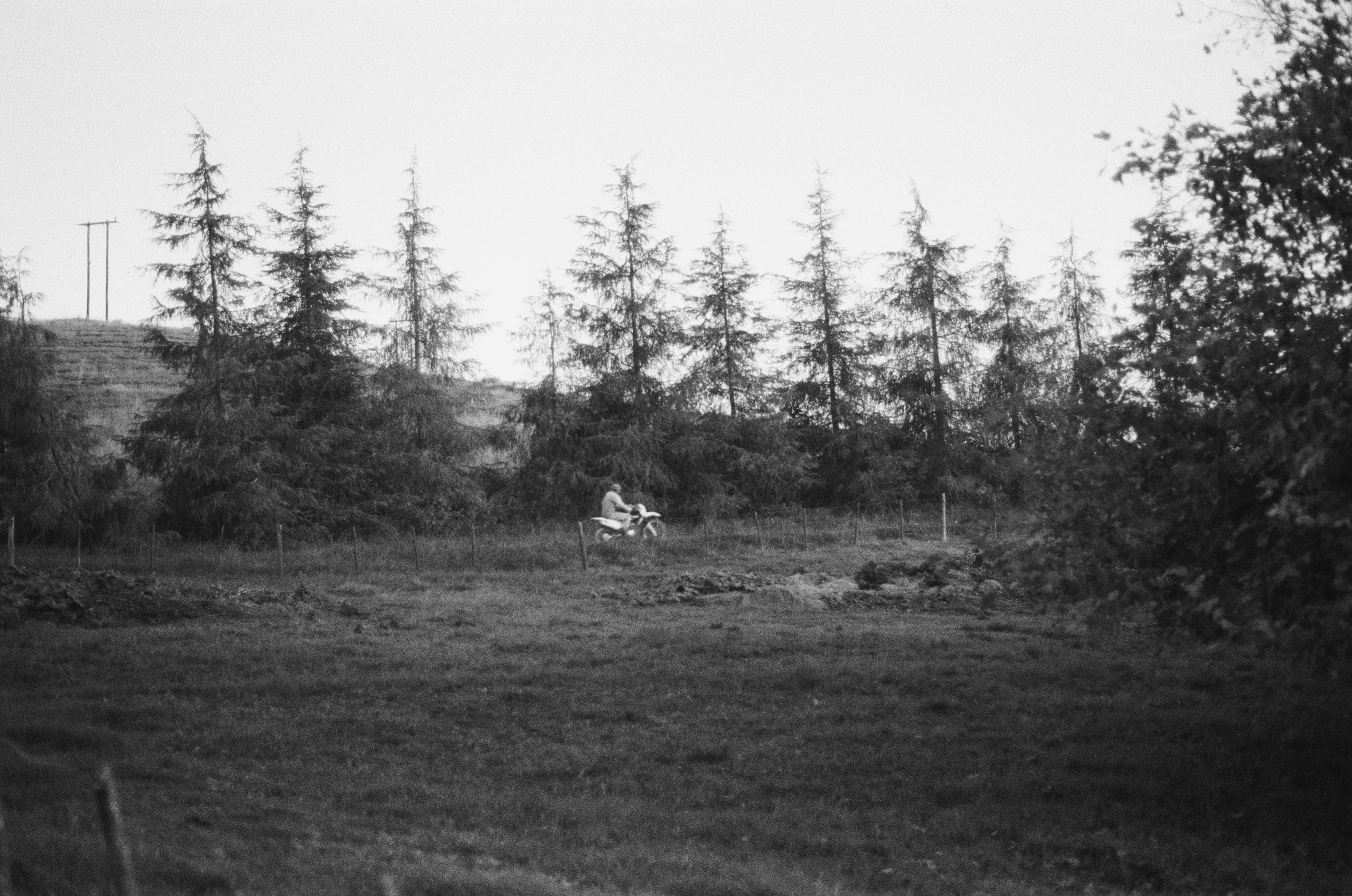 Gallery photo 9.jpg